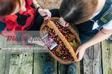 Friends taking photo of basket of chestnuts with cellphone