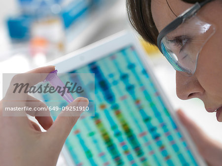 Female scientist examining DNA sample in eppendorf tube with results on digital tablet in laboratory Female scientist examining DNA sample in eppendorf tube with results on digital tablet in laboratory