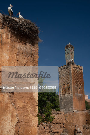 Islamic ruins of Chellah Necropolis, with storks nesting on ruined minaret and neighbouring Mosque of Abu Youssef, UNESCO World Heritage Site, Rabat, Morocco, North Africa, Africa