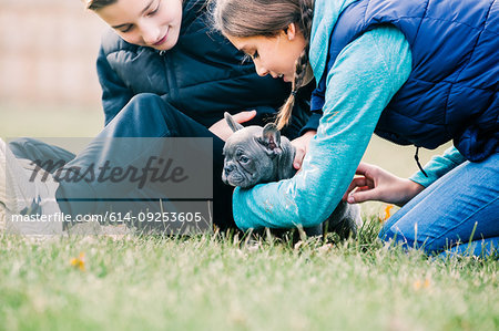 Children playing with puppy on grass