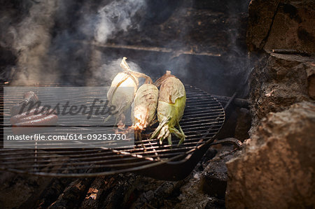 Sausages and corn cooking on campfire