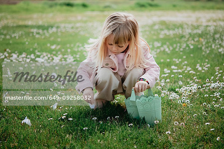 Cute girl in field with basket picking flower petal, Arezzo, Tuscany, Italy
