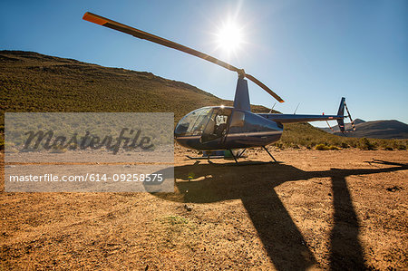 Helicopter and pilot in sunlit rural landscape, Cape Town, Western Cape, South Africa