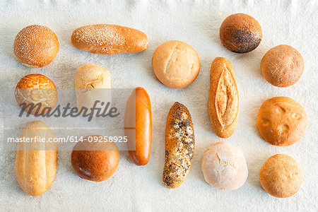 Large variety of wholemeal and white bread rolls, overhead view