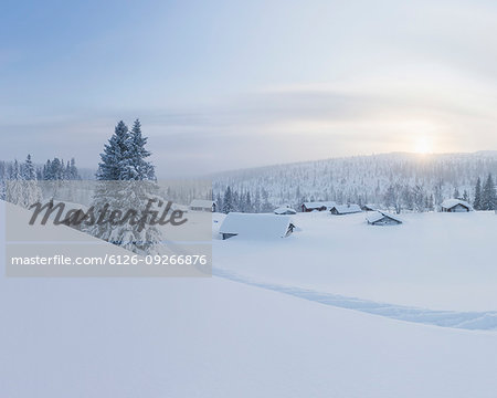 Log cabins covered in snow