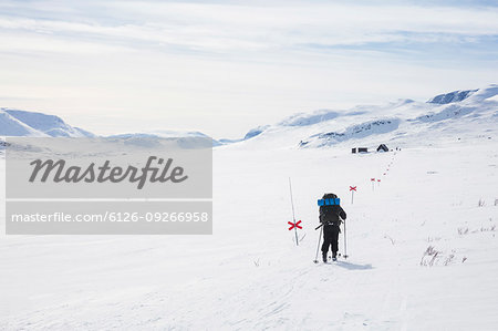 Woman skiing by markers on Kungsleden trail in Lapland, Sweden