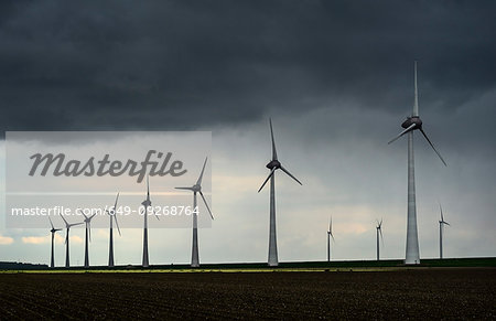 Windfarm on rainy day, Noordoostpolder, Urk, Flevoland, Netherlands