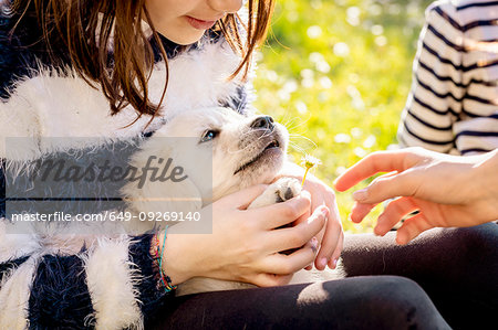 Girls sitting outdoors petting cute golden retriever puppy, cropped