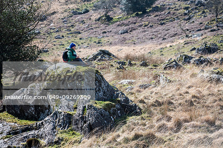 Boy exploring national park, Llanaber, Gwynedd, United Kingdom