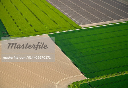 Fields with roads and ditches between them in spring, aerial view, Netherlands