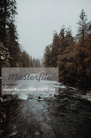 Man kayaking in river, Yosemite National Park, California, United States