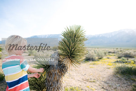 Boy beside Joshua tree, Olancha, California, US