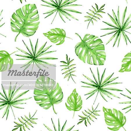 Watercolor summer tropical seamless pattern with green palm leaves on a white background