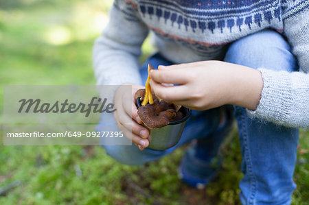 Boy picking up wild mushrooms in forest