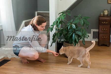 Woman feeding cat at home