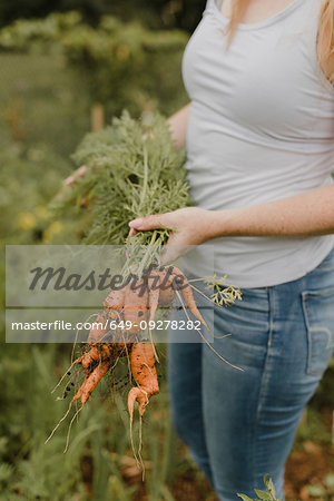 Woman holding bunch of carrots at allotment