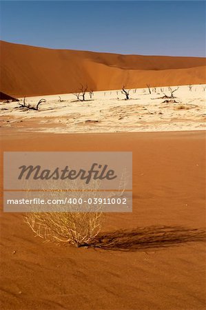 Dead vlei or valley close to Sossusvlei in Namibia