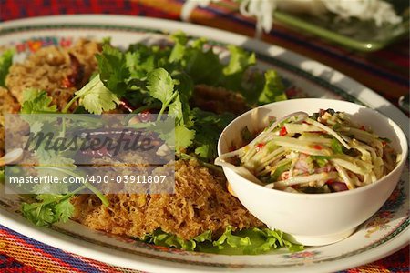 Traditional Thai food, fried, spicy, minced catfish sald, yam pla duk foo
