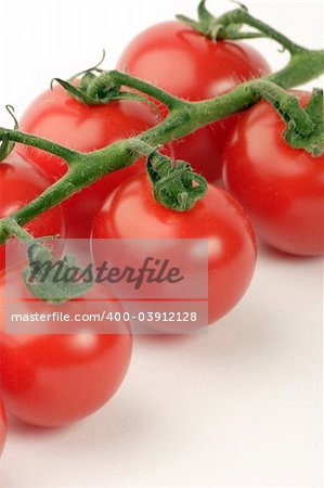 Cherry Tomato's against a plain background