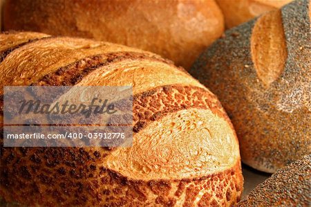 fresh baked various kind of breads