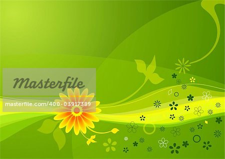 abstract background of summer flowers