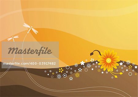 abstract background of summer flowers with dragonfly