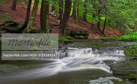 A stream with small waterfalls in a wooded area