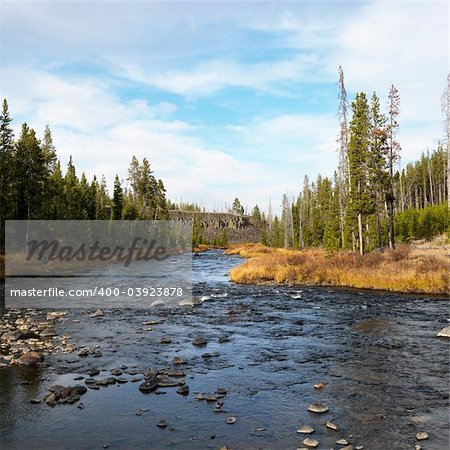 Landscape with shallow stream in Yellowstone National Park, Wyoming.