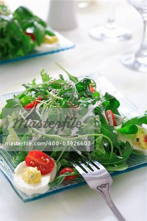 Healthy salad with rocket