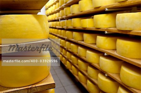 Cheese drying in shelf in a dairy. Pico Island, Azores, Portugal