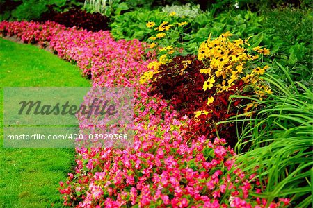 Blooming flowers in late summer garden flowerbeds