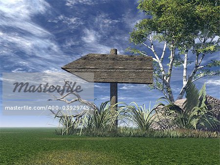 old wooden sign on green field- 3d illustration