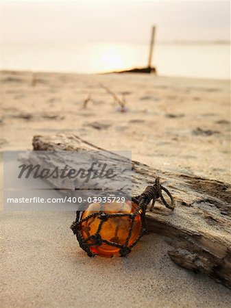 Glass globe net float with driftwood on beach.