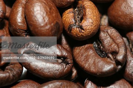 a lot of coffee beans on the table