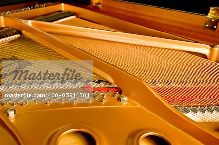 Strings from inside a Grand Piano