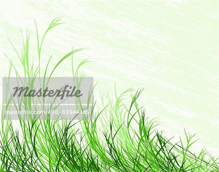 Editable vector illustration of long grass with grunge background on separate layer