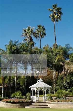 Elegant Wedding Gazebo with Steps and Palm Trees.