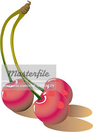 Illustration of red cherrys