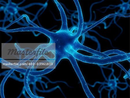 3d rendered close up of isolated nerve cells