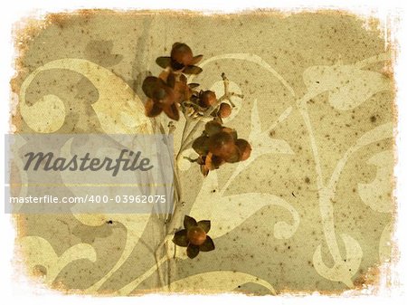 Abstract background with dried flower over grunge texture