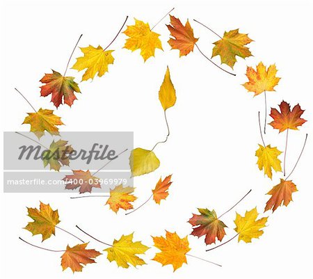 Clock shape make by colorful autumn maple and birch leafs isolated white (autumnal time round dance)