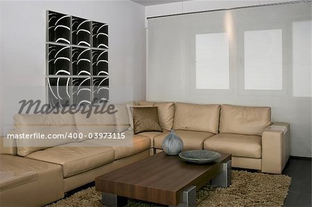 Bright and modern living room with big sitting area