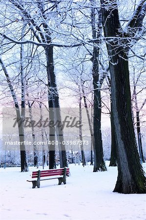 Winter park covered with snow at dusk. Beach area, Toronto, Canada.