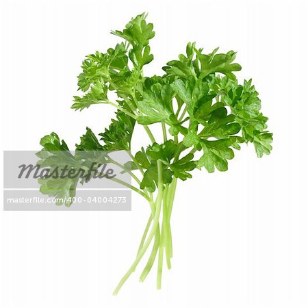 a few sprigs of parsley, isolated