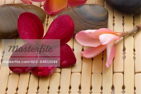 Frangipani flower and polished stone on tropical bamboo mat