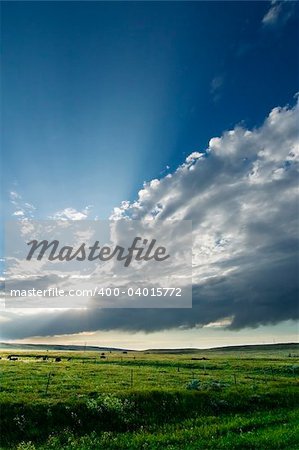 Prairie Lanscape with a vivid sky