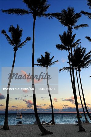 Palm trees silhouettes at sunrise at tropical resort