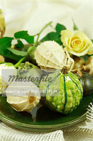 Still life or table decoration for Thanksgiving