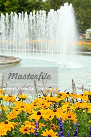 lavender and rudbeckia hirta flowers besides a water fountain