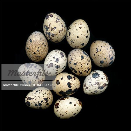 A pile of quail eggs against black background